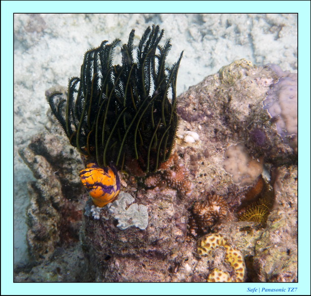 2009   07   Matakin 35